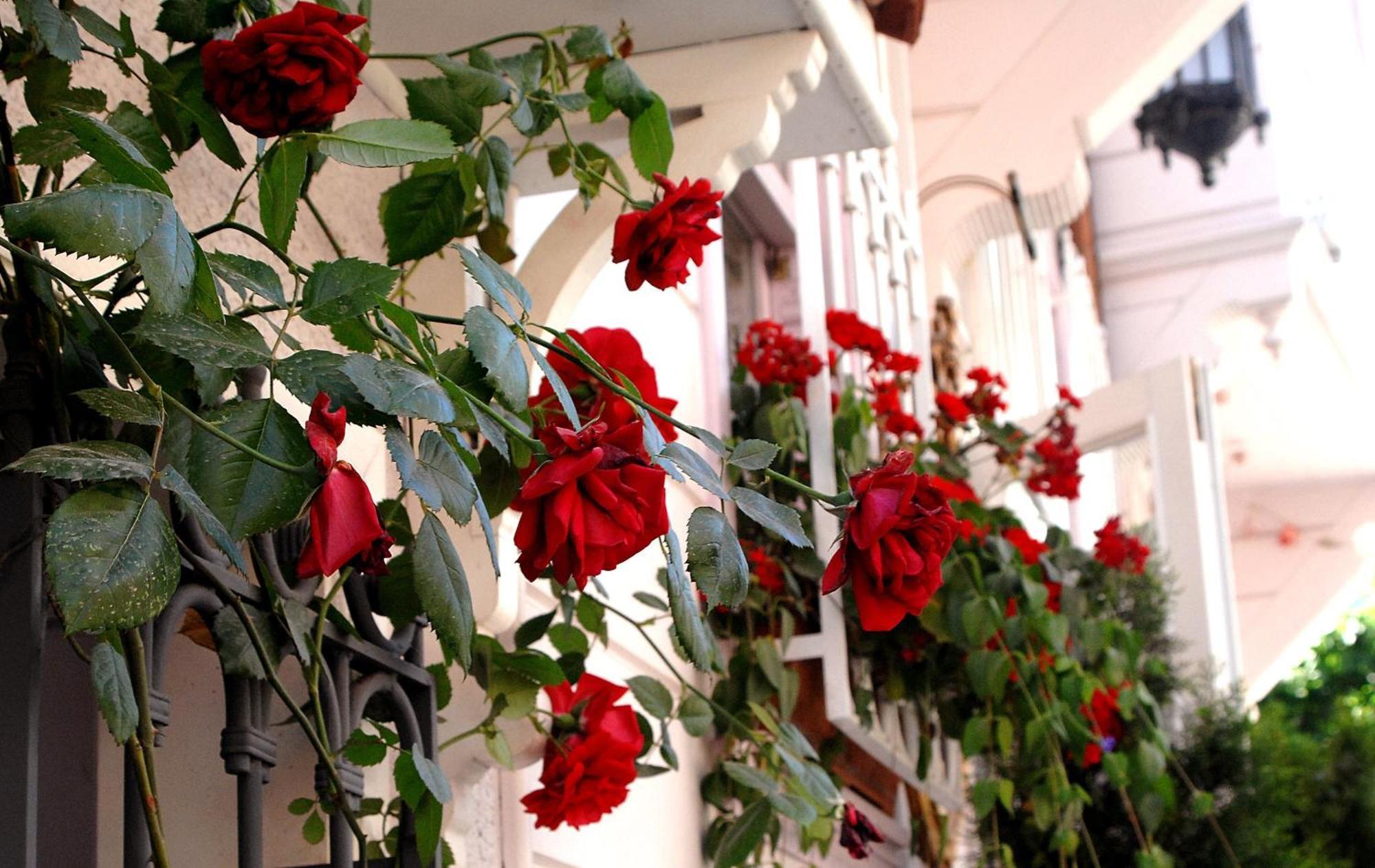 Otel Darussaade